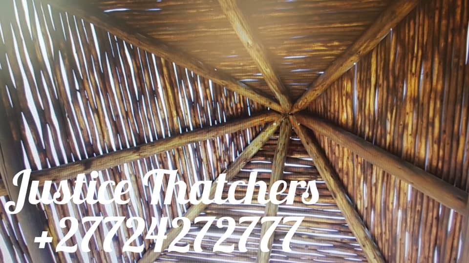Justice Thatchers project 2